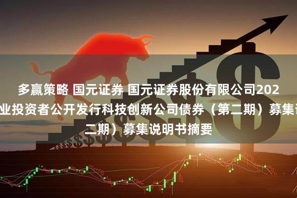 多赢策略 国元证券 国元证券股份有限公司2025年面向专业投资者公开发行科技创新公司债券(第二期)募集说明书摘要
