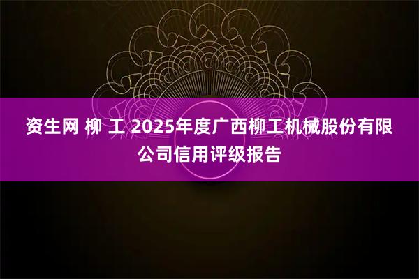 资生网 柳 工 2025年度广西柳工机械股份有限公司信用评级报告