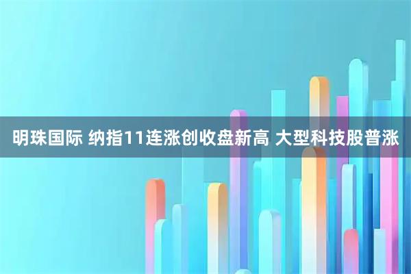 明珠国际 纳指11连涨创收盘新高 大型科技股普涨