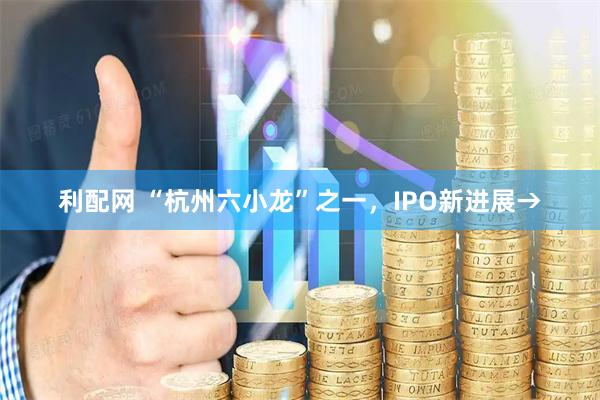 利配网 “杭州六小龙”之一，IPO新进展→