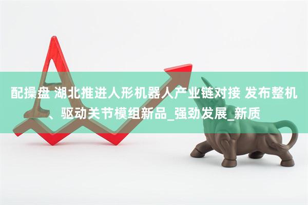 配操盘 湖北推进人形机器人产业链对接 发布整机、驱动关节模组新品_强劲发展_新质