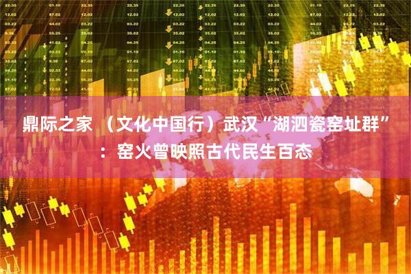 鼎际之家 （文化中国行）武汉“湖泗瓷窑址群”：窑火曾映照古代民生百态