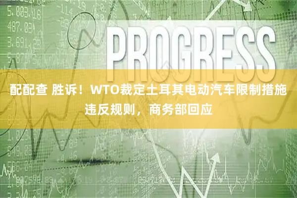 配配查 胜诉！WTO裁定土耳其电动汽车限制措施违反规则，商务部回应