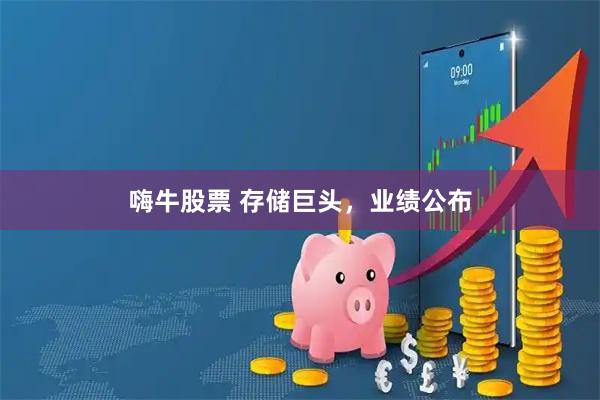 嗨牛股票 存储巨头，业绩公布