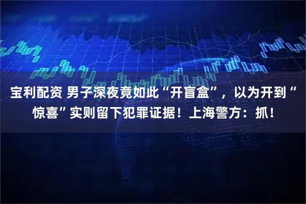 宝利配资 男子深夜竟如此“开盲盒”，以为开到“惊喜”实则留下犯罪证据！上海警方：抓！