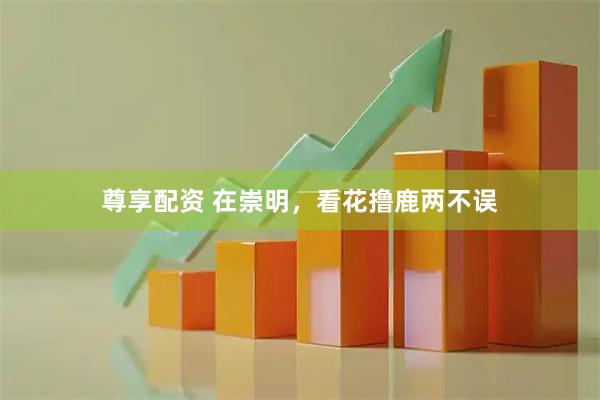 尊享配资 在崇明，看花撸鹿两不误